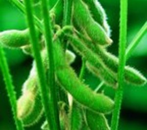 Bayer CropScience compra Biagro Grup