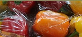 Las exportaciones elevan las ventas de la Coop. San Isidro Labrador de El Ejido