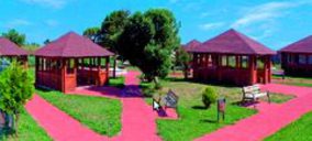 Calidad en Dependencia cierra el año incrementando sus ventas