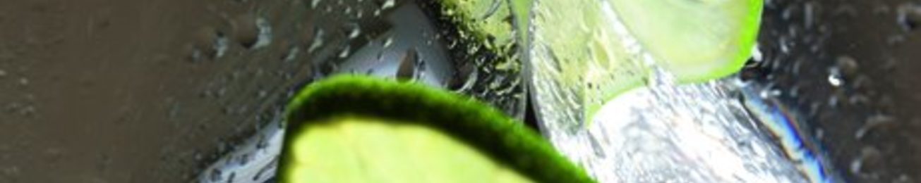 Innovación en Foodservice: La contención marca la pauta