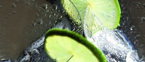 Innovación en Foodservice: La contención marca la pauta