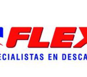 Grupo Flex mejoró su cifra de negocio en 2013