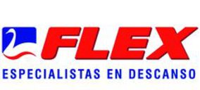 Grupo Flex mejoró su cifra de negocio en 2013