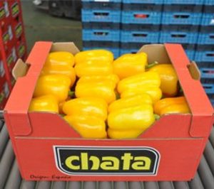 Agroejido sustenta su crecimiento en los mercados exteriores