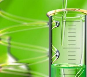 Mane Ibérica prosigue su positiva evolución