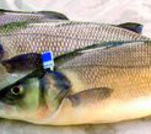 En concurso el área productiva del grupo Proyecnova