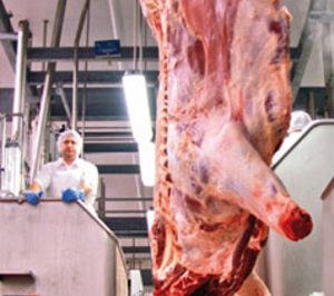 Frimancha desarrolla inversiones en su planta