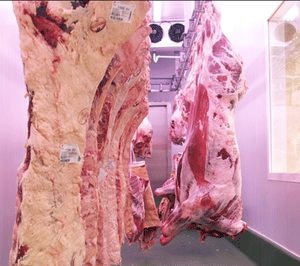 Merca Carne ya tiene comprador