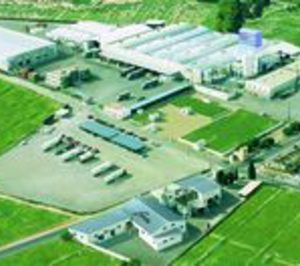 Linasa, fuerte alza en ventas en 2013