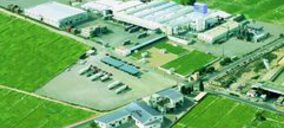 Linasa, fuerte alza en ventas en 2013