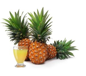 JGC alcanza su propósito de cultivar piña en Murcia