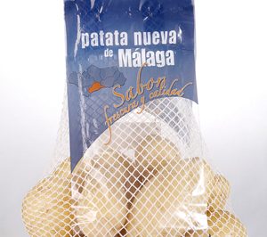 Ibérica de Patatas empieza a comercializar patata de temporada