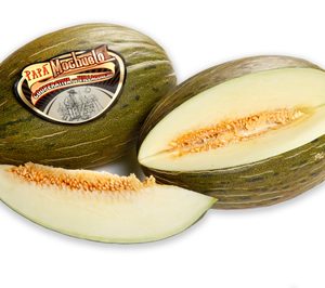 Coop. del Campo de Villaconejos inicia el cultivo de melón en Brasil