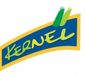 Kernel Export presenta su primera memoria RSC