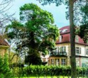 Alma vende su hotel de Berlín 