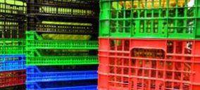 Vizmon crece en 2013