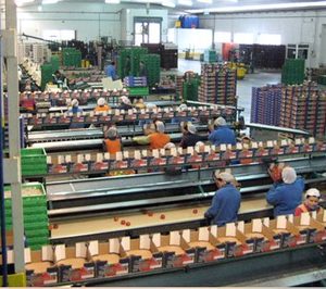 Hortícola de Mazarrón mantiene su crecimiento en el doble dígito