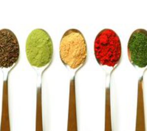 Eurogerm presenta Gourmet Solutions Savoury