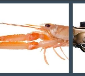 Congelados y Especialidades Barrufet vuelve al fresco y mejora instalaciones