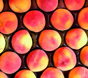 Fruits Sant Miquel invierte en sus instalaciones