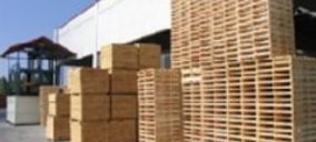 Ribsa incrementa ventas en más de un 30%