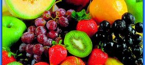 Serhs Fruits cierra el primer ejercicio de su nueva etapa