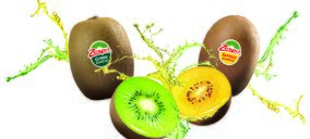 Zespri lanza su nueva variedad SunGold en nuestro país tras diez años de I+D