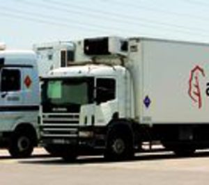 Trasmediterránea Cargo, vuelta al crecimiento este año