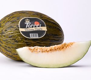 Naranjas Torres prevé comercializar 3.000 t de melón este año