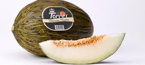 Naranjas Torres prevé comercializar 3.000 t de melón este año