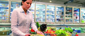 Informe 2014 sobre el sector de congelados