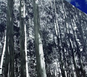 Formica añade 25 nuevos colores a su gama Vivix