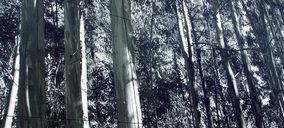 Formica añade 25 nuevos colores a su gama Vivix