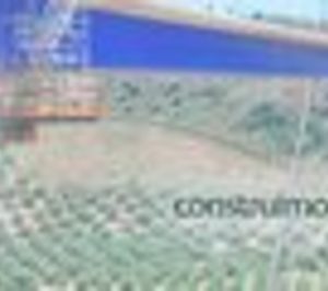 Detea se concentra y liquida filiales