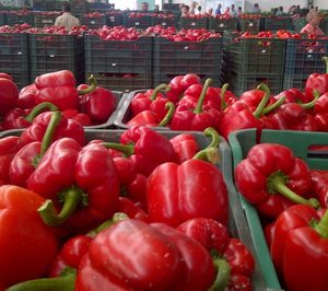 AgrupaEjido anuncia un plan para modernizar sus instalaciones