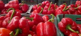 AgrupaEjido anuncia un plan para modernizar sus instalaciones