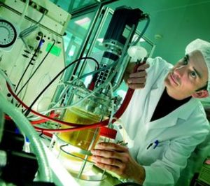 Ainia identifica 12 líneas de trabajo en innovación para disminuir el desperdicio de alimentos