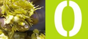 Sovena y Acor unifican su comercialización de aceite de semillas a granel