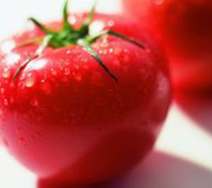 Tomates del Guadiana sumará más capacidad