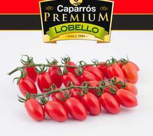 Caparrós Nature completa su línea de hortalizas gourmet con Lobello