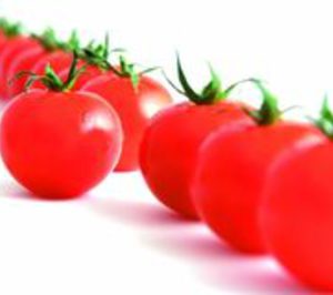 Pronat finaliza una inversión de 6 M en su fábrica pacense