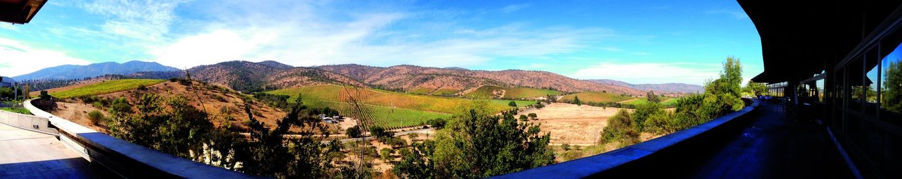  Chile potencia alimentaria