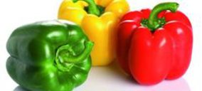 Uniagro, inmersa en un plan para equilibrar sus cuentas