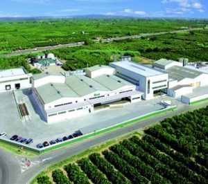 Wild eleva un 20,4% sus beneficios