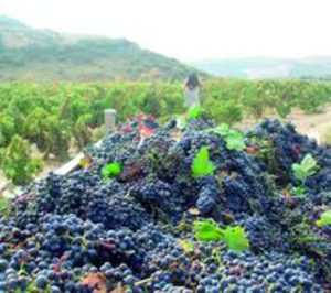 El Magrama acuerda la retirada de 4 M hl de vino del mercado