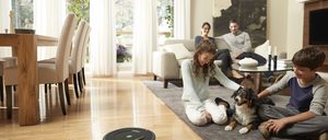 Informe anual del sector de Aspiradores en España 2014