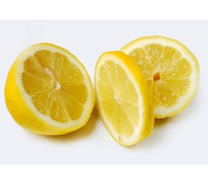 Ailimpo impulsa el modelo de responsabilidad social para el limón y el pomelo
