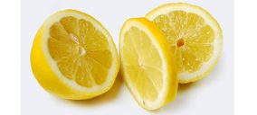 Ailimpo impulsa el modelo de responsabilidad social para el limón y el pomelo