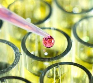 Grupo Mane prepara su estrategia para los compounds