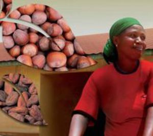 El grupo Ferrero adquiere Otlan Group